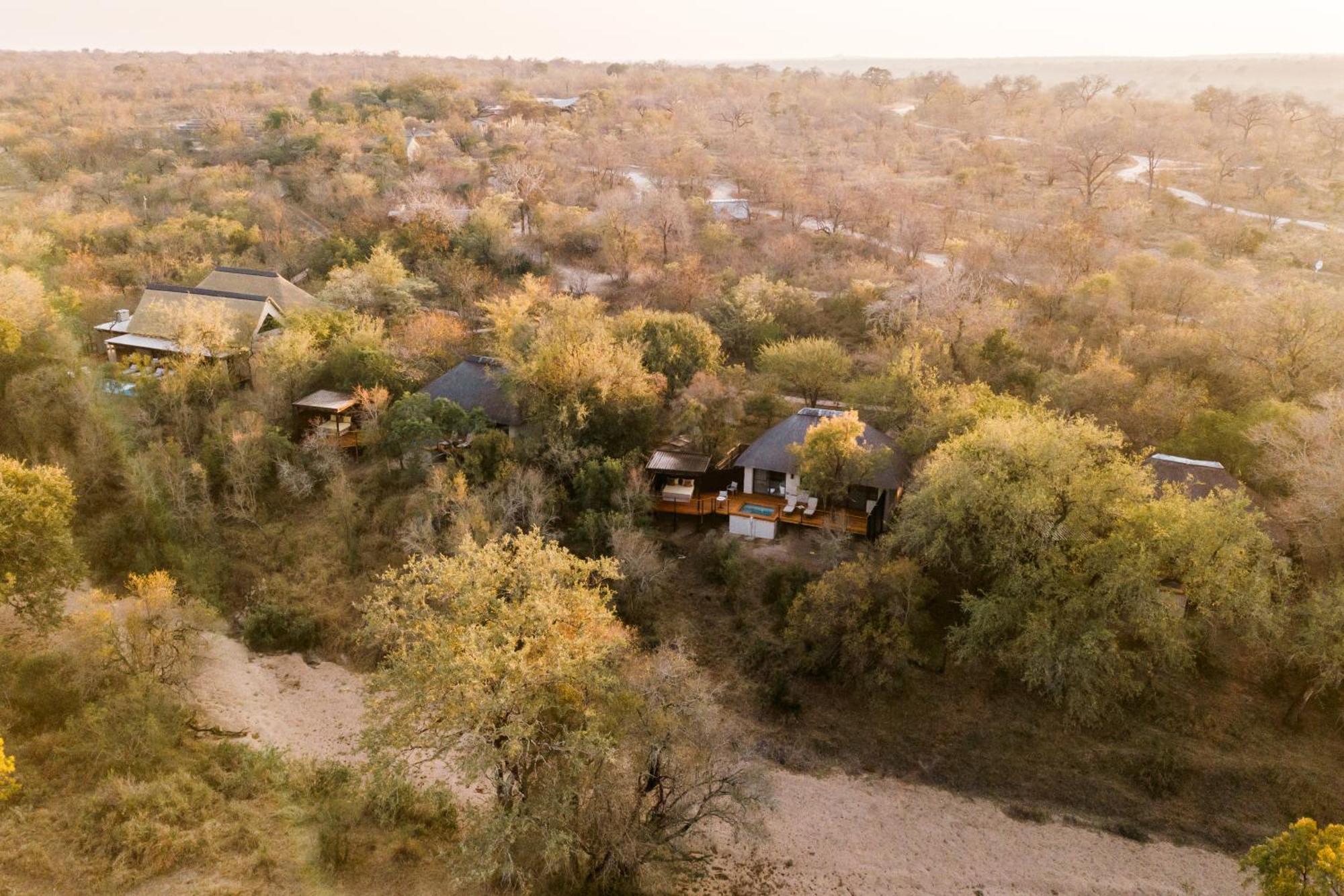 שמורת הציד סאבי סנד Thornybush Simbambili Lodge מראה חיצוני תמונה